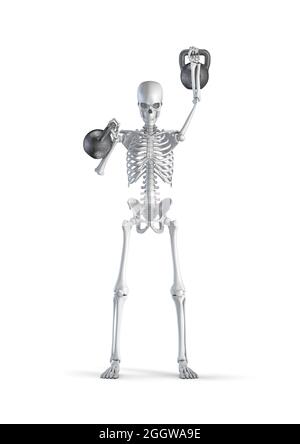 Fitness scheletro Kettlebell - illustrazione 3D di uomo scheletro figura sollevamento pesante coppia di Kettlebell isolato su sfondo bianco studio Foto Stock