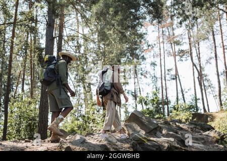 Turisti anziani con zaini che camminano nella foresta durante l'estate Foto Stock