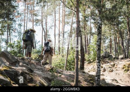 Viaggiatori anziani con zaini che camminano sulle pietre nella foresta Foto Stock