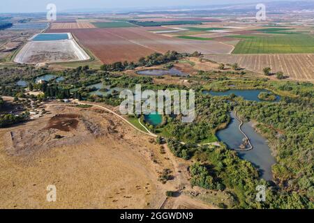 Riserva naturale di Ein Afek, palude di pesci gatto e ponte, vista aerea. Foto Stock