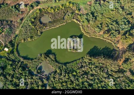 Riserva naturale di Ein Afek, palude di pesci gatto e ponte, vista aerea. Foto Stock