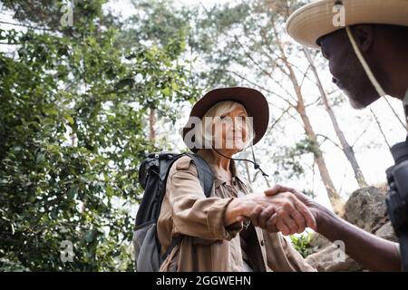 Escursionista senior che tiene la mano di marito afro-americano nella foresta Foto Stock