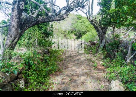 El Camino Real (strada reale) vicino a Guane in Colombia Foto Stock