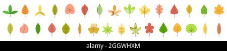 Foglie d'autunno. Il colore lascia isolato. Set di foglie autunnali. Illustrazione vettoriale. Illustrazione Vettoriale