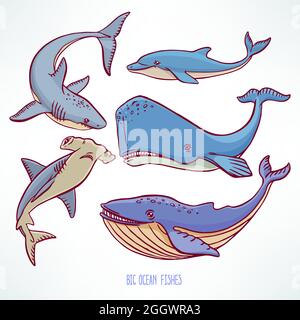 Set di grandi creature oceaniche. Illustrazione disegnata a mano Illustrazione Vettoriale