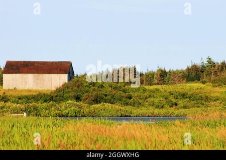 Un vecchio fienile in un prato verde circondato da alberi, sul lato opposto di un piccolo laghetto, Bonavista, NL. Foto Stock