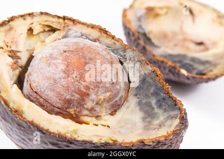 Avocado immangiabile con muffa su sfondo bianco. Cibo malsano Foto Stock