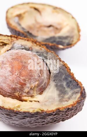 Avocado immangiabile con muffa su sfondo bianco. Cibo malsano Foto Stock