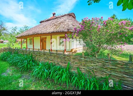 PEREIASLAV, UCRAINA - 22 MAGGIO 2021: Tyn recinzione vimini di fronte al cespuglio lilla in fiore e tradizionale hata casa di shynok (bar ucraino, taverna Foto Stock