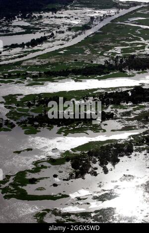 TAPAJOS fiume, foresta allagata sul lungofiume. Foto Stock