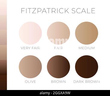 Colore della pelle di Fitzpatric Scala da chiaro a scuro Illustrazione Vettoriale