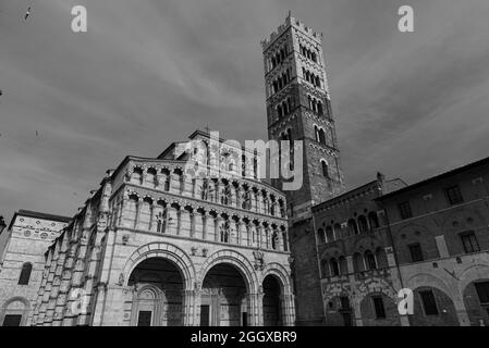 La Cattedrale di San Martino è il principale luogo di culto cattolico della città di Lucca. Secondo la tradizione, la cattedrale fu fondata da San Fred Foto Stock