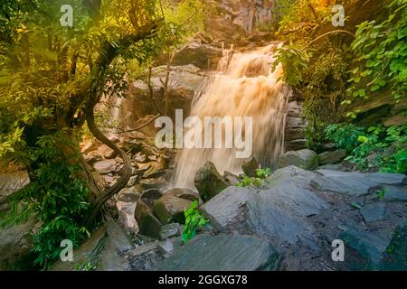 Bella cascata Bambi con pieni ruscelli d'acqua che scorrono in discesa tra le pietre, during monsone dovuto la pioggia a Ayodhya pahar, collina - Purulia. Foto Stock