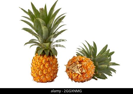 ananas isolato su sfondo bianco con percorso di taglio, due ananas giallo-arancio sono pronti per essere consumati Foto Stock