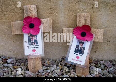 Papaveri su croci di legno, omaggio ai soldati uccisi in guerra, Arromanche, Calvados, Regione Normandia, Francia nordoccidentale Foto Stock