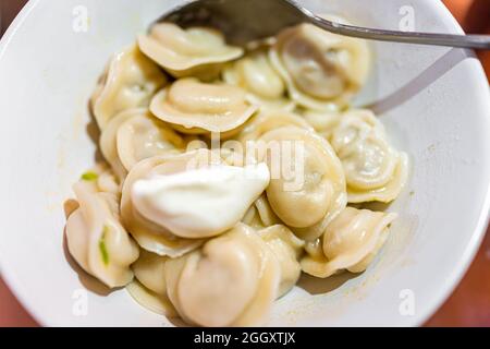 Primo piano macro di panna acida e tradizionale russo gnocchi pelmeni con ripieno di carne o formaggio o patate e pancetta ripieno in ciotola Foto Stock