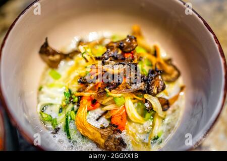 Primo piano di zuppa vegana cruda ciotola di crema di noci di anice brodo acqua, verdure disidratate di funghi di sedano ostrica, carote cipolla verde essiccato e. Foto Stock