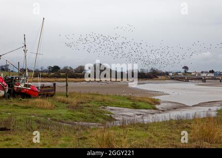 Gli uccelli prendono il volo vicino a Skippool Creek sull'estuario del Wyre Foto Stock