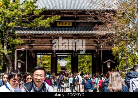 Nara, Giappone - 14 aprile 2019: La gente affollata molti turisti stranieri intrappolarsi a piedi per motivi di Todaiji tempio in città con cancello principale di ingresso Foto Stock