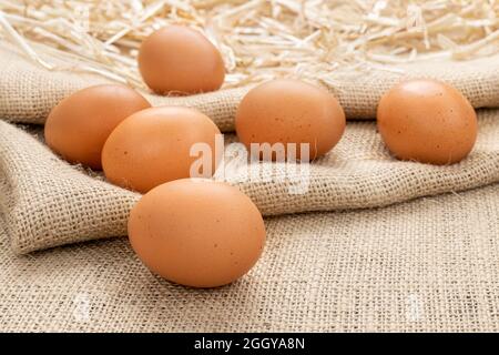Un assortimento di uova fresche e fresche si riposano sul burlap e sul fieno, mostrando l'essenziale per una colazione calda. Foto Stock
