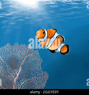 acquerello pesce pagliaccio sullo sfondo del mare e corallo Foto Stock