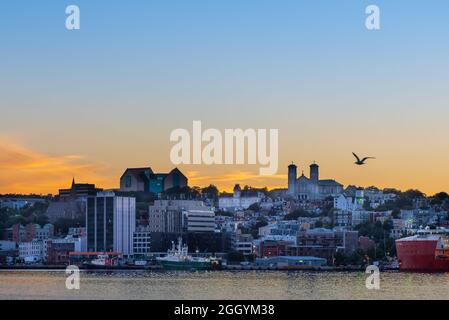 St. John's, Terranova, porto sul lungomare al tramonto. Le luci sull'acqua sono gialle e arancioni che si riflettono dallo skyline Foto Stock