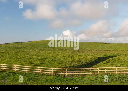 Scogliere di Moher nella bellissima Irlanda Foto Stock