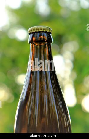 Birra con estratto di luppolo su sfondo luppolo verde sfocato. Bottiglia di vetro di birra e coni luppolo verde al sole. Materiali per la produzione della birra Foto Stock