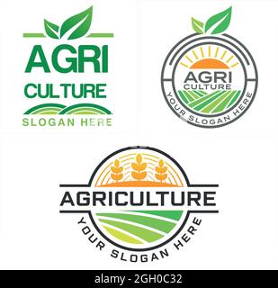 Agricoltura pianta natura biologico grano logo design Illustrazione Vettoriale