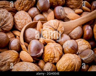 Sfondo con diversi tipi di noci noci kernels ,macadamia,nocciola e mandorla con il cucchiaio di legno. Messa a fuoco selettiva la profondità di campo. Foto Stock