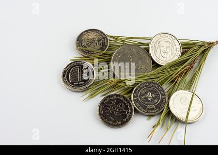 Monete di Dirham degli Emirati Arabi Uniti su aghi di pino isolato su sfondo bianco, anno di Zayed 2018. Foto Stock