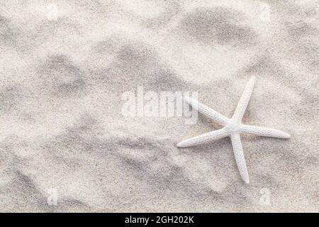 Conchiglie di mare,stelle marine e granchi sulla spiaggia di sabbia di estate e concetto di spiaggia. Studio shot beach sfondo. Foto Stock