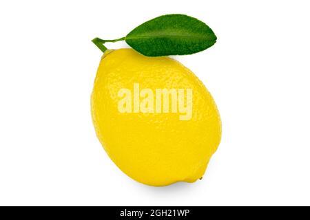 Limone fresco con foglia, isolato su fondo bianco, con percorso di taglio. Foto Stock