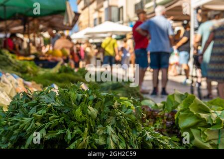 Primo piano di grappoli di sedano verde in un mercato di strada sull'isola di Maiorca. Sullo sfondo, persone irriconoscibili che acquistano al mercato Foto Stock