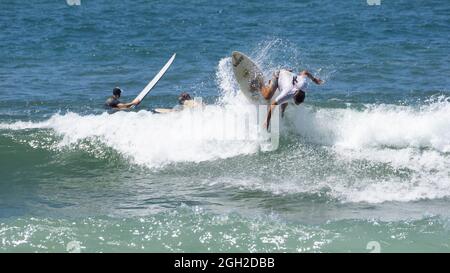 surfisti che prendono onde e si manovrano in mare in una limpida giornata estiva. Foto Stock