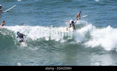 surfisti che prendono onde e si manovrano in mare in una limpida giornata estiva. Foto Stock