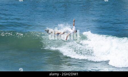 surfisti che prendono onde e si manovrano in mare in una limpida giornata estiva. Foto Stock