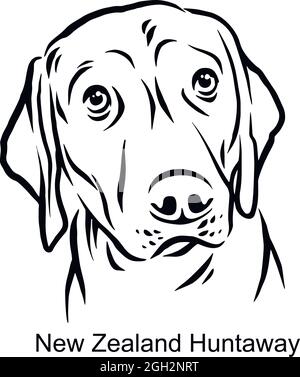 New Zealand Huntaway Portrait Dog in Line Style - PET Portrait in Light Style testa isolata su bianco - vettore stock Illustrazione Vettoriale