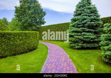 sentiero pedonale fatto di piastrelle di pietra rossa è curvato ad arco nel parco tra la siepe di tuja sempreverde e alberi. Un posto per camminare e riposare, no Foto Stock