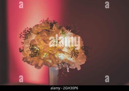 Primo piano di falsi fiori bianchi in un vaso di fronte a una parete rosa Foto Stock