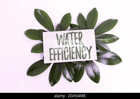 Visualizzazione concettuale dell'efficienza dell'acqua. Internet Concept ridurre lo spreco di acqua misurando la quantità di acqua richiesta natura tema idee di presentazione e. Foto Stock