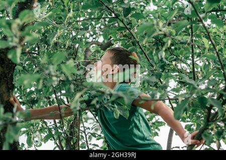 Boy 8-10 in T-shirt verde si erge tra foglie verdi sull'albero in raggi solari Foto Stock