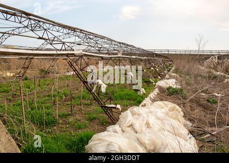 Serre abbandonate. Distrutta serra di una rovinata economia hosthouse. Serra abbandonata. Serre a cornice senza vetro e pellicola. Foto Stock