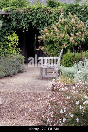 Panca parco in legno si trova vicino ad un albero coperto di verde in questo grazioso giardino Foto Stock