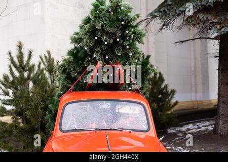 Auto rossa che trasporta un albero di Natale in un paesaggio nevoso. Spazio per il testo Foto Stock