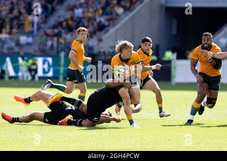 Perth, Australia, 5 Settembre, 2021. Tate McDermott dei Wallabies è affrontato durante il campionato di Rugby e la partita di Bledisloe Cup tra i Wallabies australiani e la Nuova Zelanda All Blacks Credit: Graham Conaty/Speed Media/Alamy Live News Foto Stock