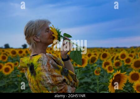 bella donna anziana in un campo di girasole che gode l'odore di un girasole Foto Stock