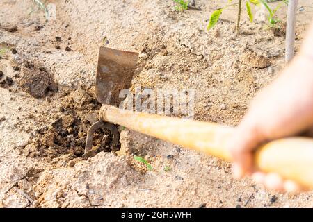 Da sopra di coltivatore senza volto che allenta il terreno con la zappa mentre lavora in giardino in campagna Foto Stock