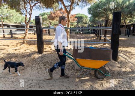 Vista laterale di cane e agricoltore a piedi con carriola lungo il paddock in giornata di sole sul ranch Foto Stock