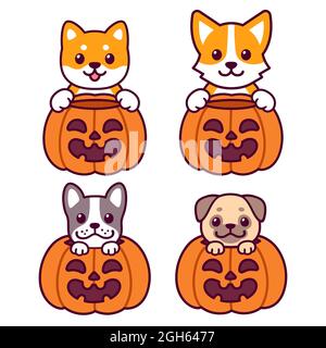 Carino cani da cartoon con zucche di Halloween. Corgi, Shiba Inu, Bulldog francese e Pug. Set di caratteri divertenti, illustrazione grafica di clip vettoriale. Trick o trea Illustrazione Vettoriale